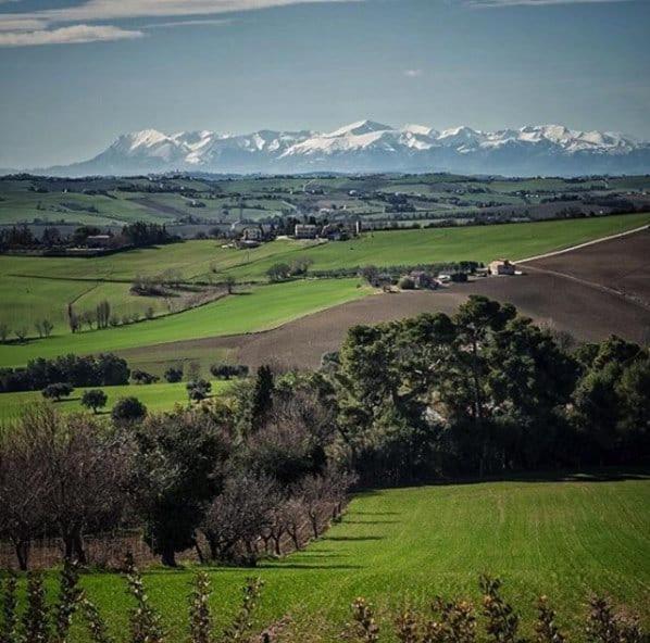 Casa Del Fattore Osimo Eksteriør bilde